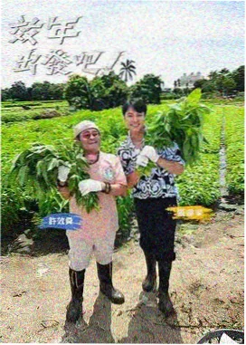 御姐动漫制作幕后：录音棚内的剧本与呼吸标记表